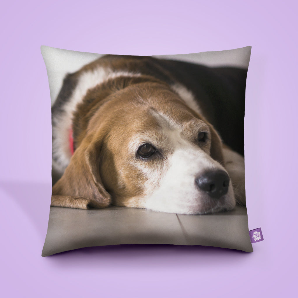 Photo upload pillow best sale