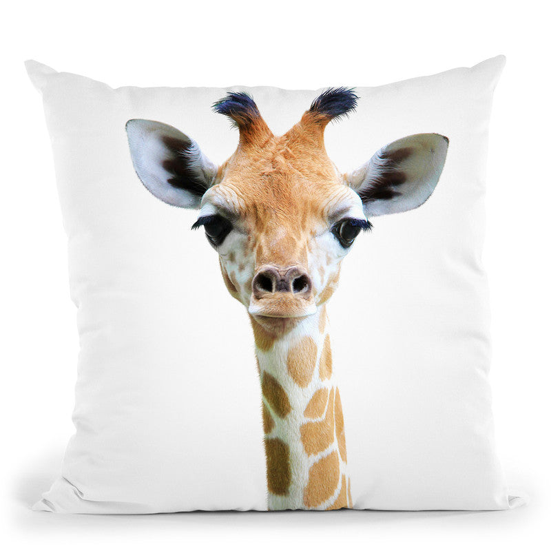 Giraffe Cushion