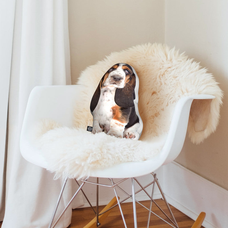 Basset hound clearance pillows