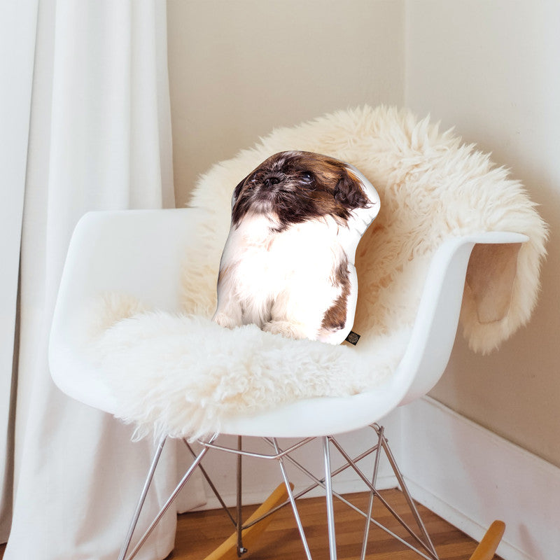 Shih clearance tzu pillows