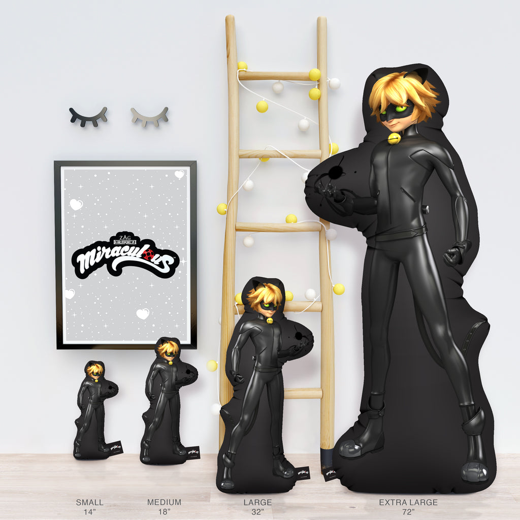 Fantasia Cat Noir - Miraculous