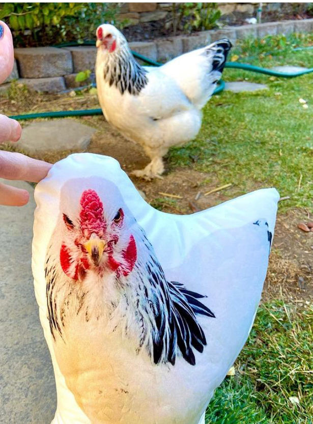 Chicken Custom Shaped Pillow