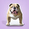 Bulldog Custom Shaped Pillow