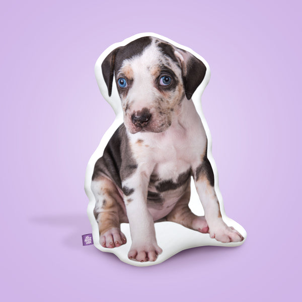 Catahoula Custom Shaped Pillow