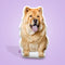 Chow Chow Custom Shaped Pillow