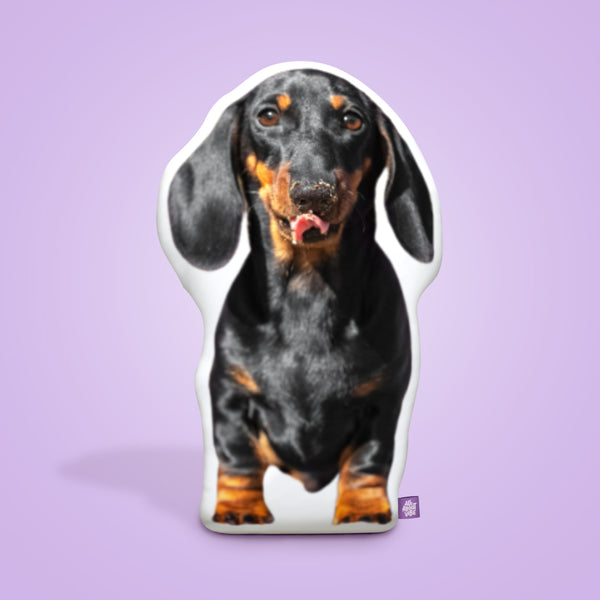 Dachshund Custom Shaped Pillow