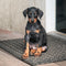 Doberman Pinscher Custom Shaped Pillow