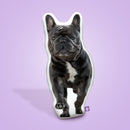 French Bulldog Custom Shaped Pillow