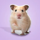 Hamster Custom Shaped Pillow