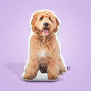 Goldendoodle Custom Shaped Pillow