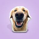 Custom Shaped Outdoor Pillow