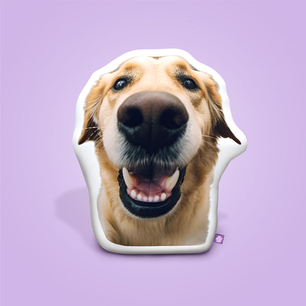 Custom Shaped Dog Pillow