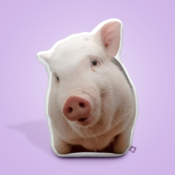 Pig Custom Shaped Pillow