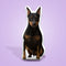 Miniature Pinscher Custom Shaped Pillow