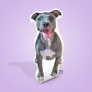 Pitbull Custom Shaped Pillow