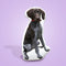 German Shorthaired Pointer Custom Shaped Pillow