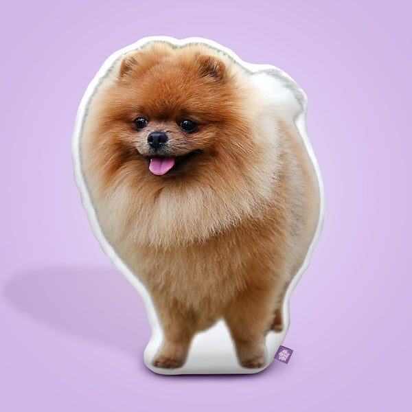 Pomeranian Custom Shaped Pillow