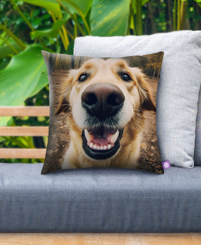 Custom Outdoor Pillow