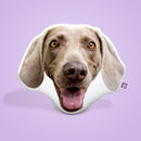 Weimaraner Custom Shaped Pillow