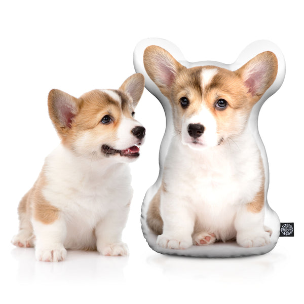 Corgi throw outlet pillow