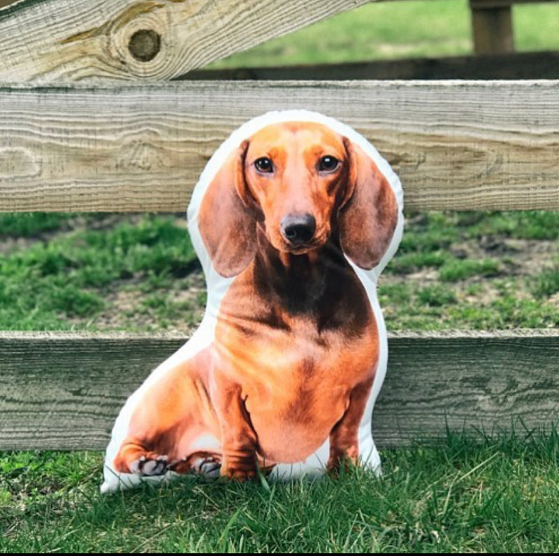 Sausage dog clearance pillow